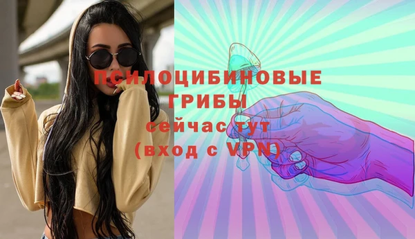 2c-b Алзамай